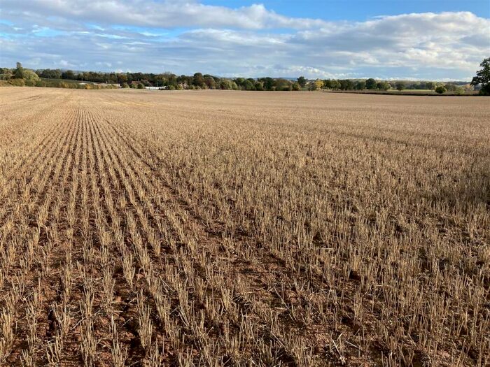 Land For Sale In Near Burley Gate, Hereford, HR7