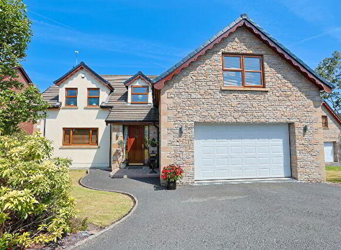 4 Bedroom Detached House For Sale In Chestnut Brae, Craigavon, BT63