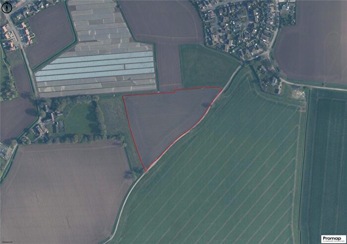 Farm Land For Sale In Doves' Lane, Butterwick, Boston, Lincs, PE22