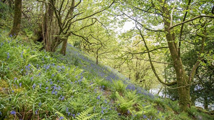 Land For Sale In Brockholes Farm Holiday Cottages, Tebay, Penrith, Cumbria, CA10