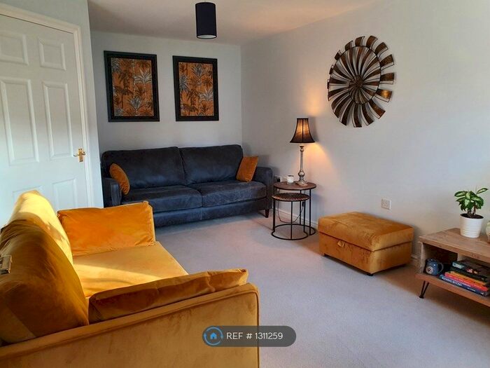 3 Bedroom Semi-Detached House To Rent In Scholars Rise, Middlesbrough, TS4