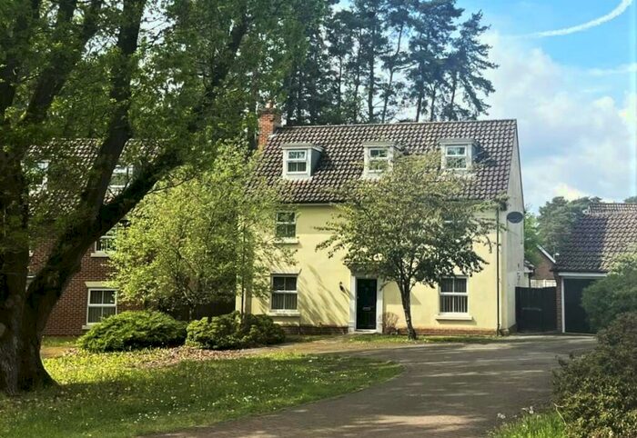 5 Bedroom Detached House To Rent In Walton Way, Brandon, Suffolk, IP27