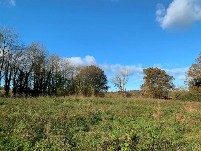 Land For Sale In Land Off Moor Lane, Shobrooke, EX17