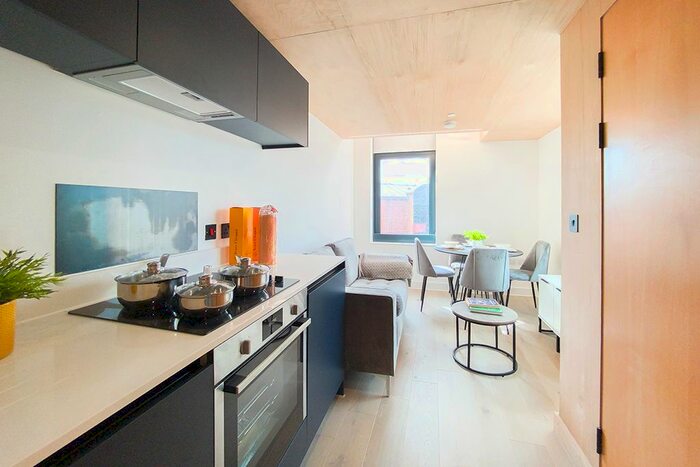 1 Bedroom Flat To Rent In Sky Gardens, Castelfield, Manchester, M15