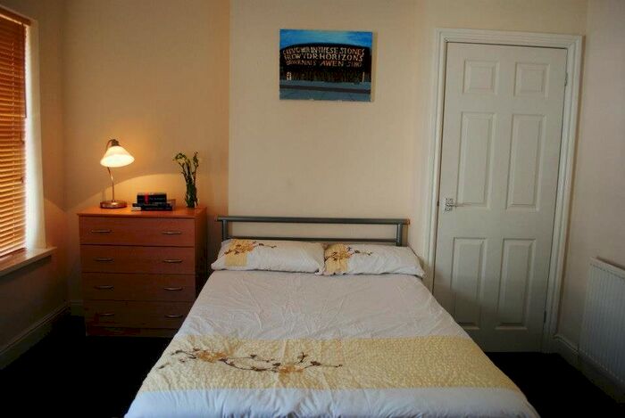 3 Bedroom Property To Rent In Cyfarthfa Street, Roath, Cardiff CF24