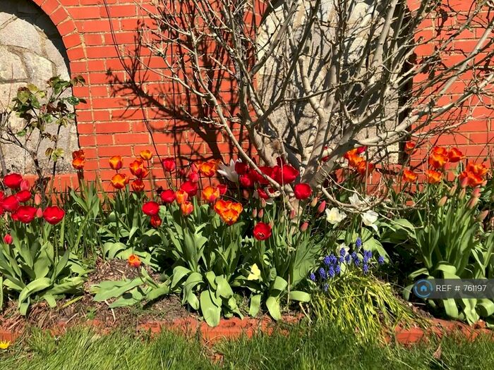 3 Bedroom Detached House To Rent In Southill Road, Bournemouth, BH9