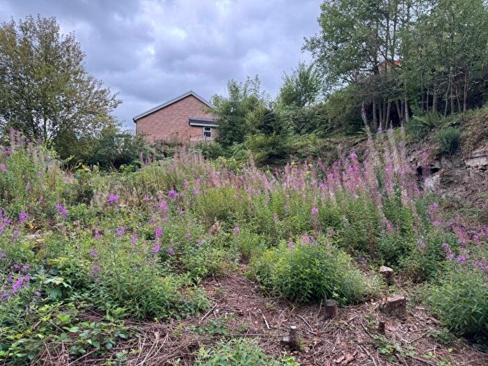 Land For Sale In Land Next To Cariad Bungalow, Crumlin, Newport, Gwent, NP11