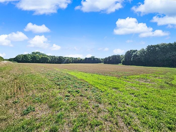 Land For Sale In Lucton, Leominster, HR6