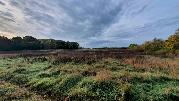 Land For Sale In Woodchurch, Ashford, TN26