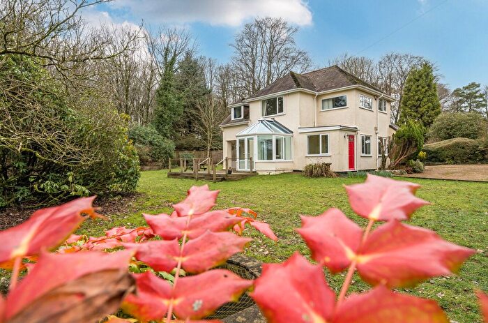 3 Bedroom Detached House For Sale In Green Lane, Axminster, Devon, EX13