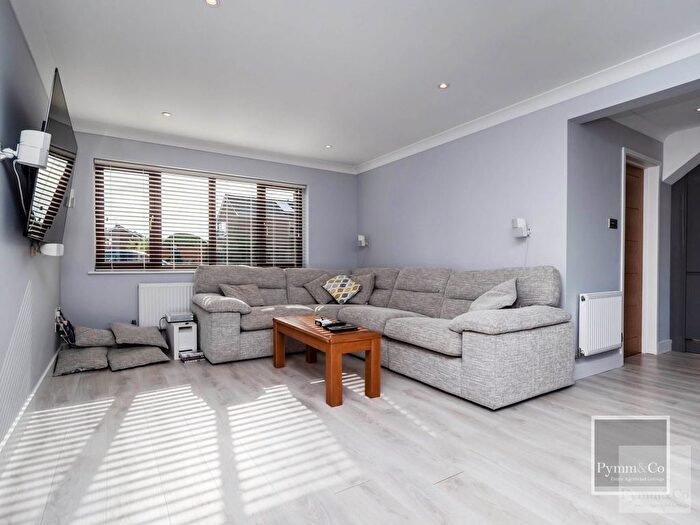 3 Bedroom Detached House To Rent In Danesbower Close, Norwich, NR13