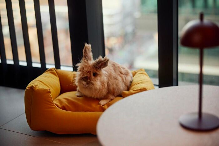 Studio To Rent In New Drum Street, London, E1