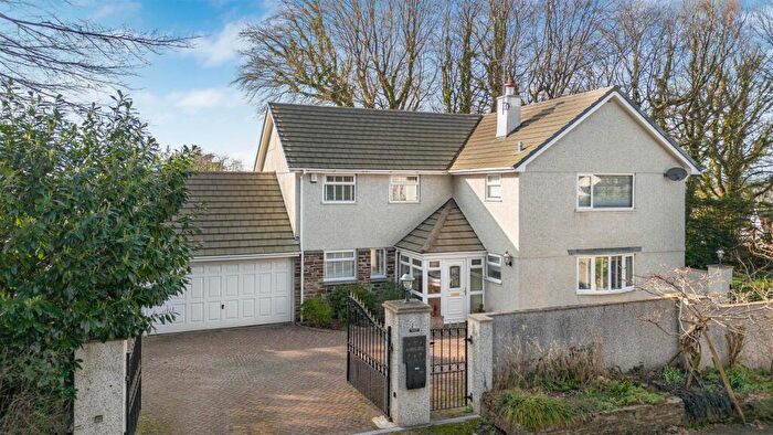 4 Bedroom Detached House For Sale In Down Road, Tavistock, PL19