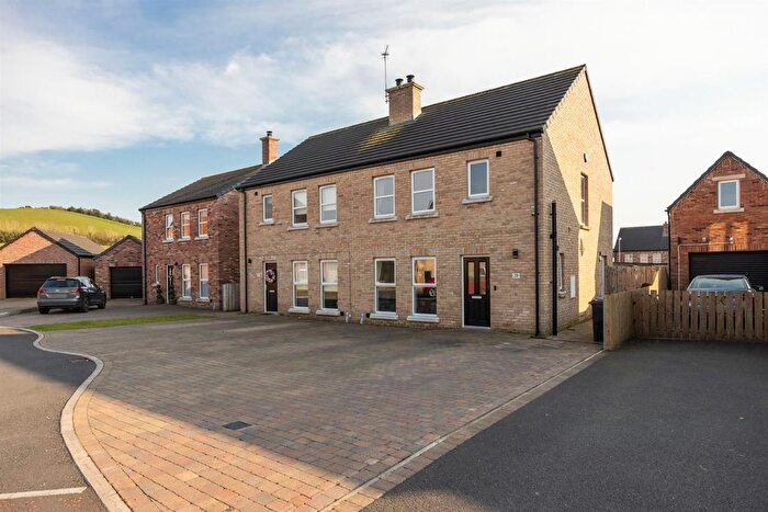 3 Bedroom Semi-Detached House For Sale In Millbank Grove, Ballynahinch, BT24
