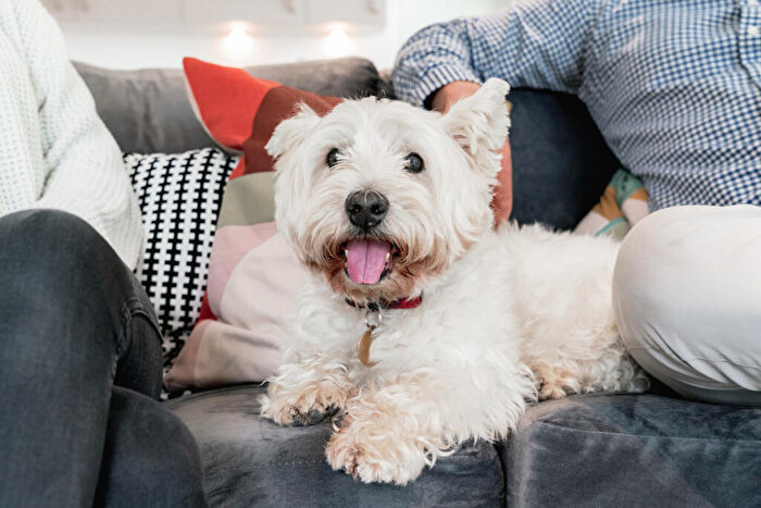 1 Bedroom Flat To Rent In Fizzy Walthamstow, D Blackhorse Lane, Walthamstow, E17