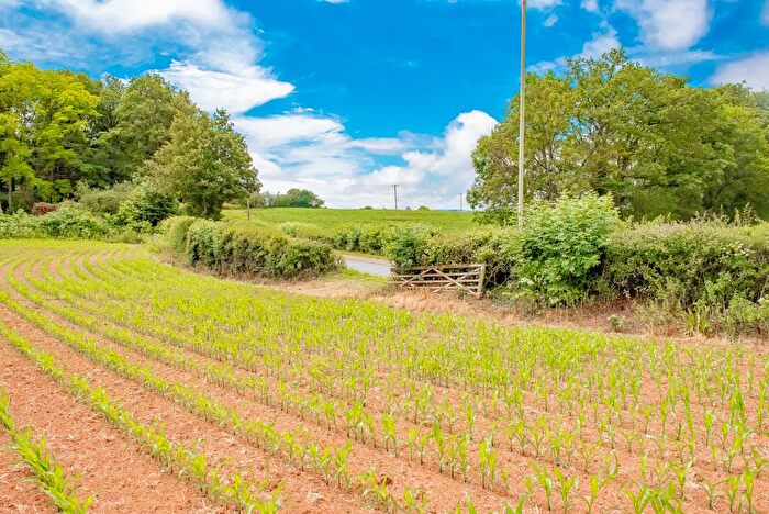 Land For Sale In Exmouth Road, Ebford, EX3