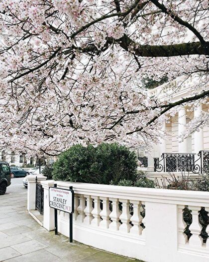 4 Bedroom Terraced House To Rent In Stanley Crescent, London, W11