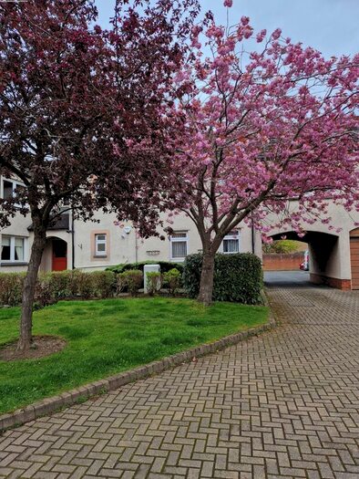 1 Bedroom Flat To Rent In South Gyle Mains, Edinburgh, EH12