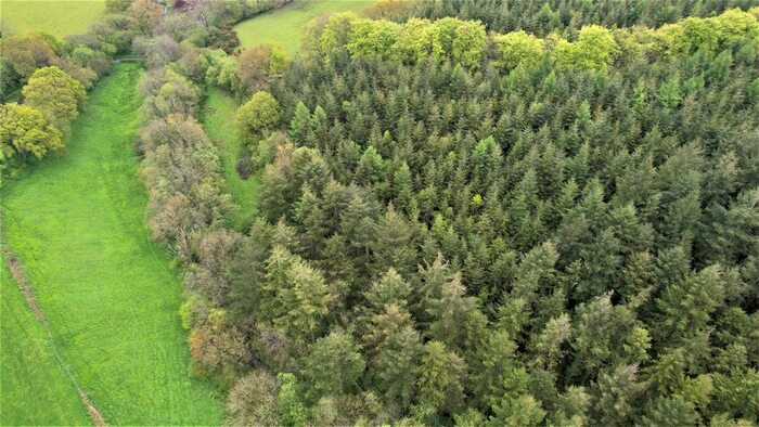 Land For Sale In Huntshaw, Torrington, EX38