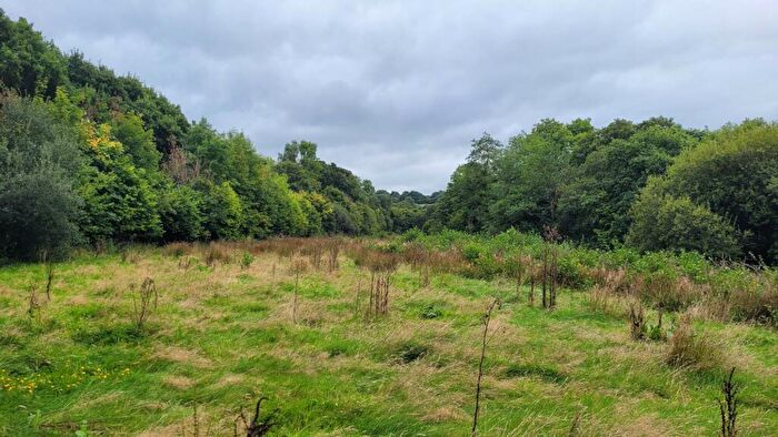 Land For Sale In Tresarrett, Bodmin, PL30