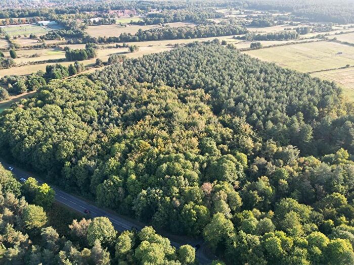 Land For Sale In Lane End Wood, Clumber, Worksop, S80
