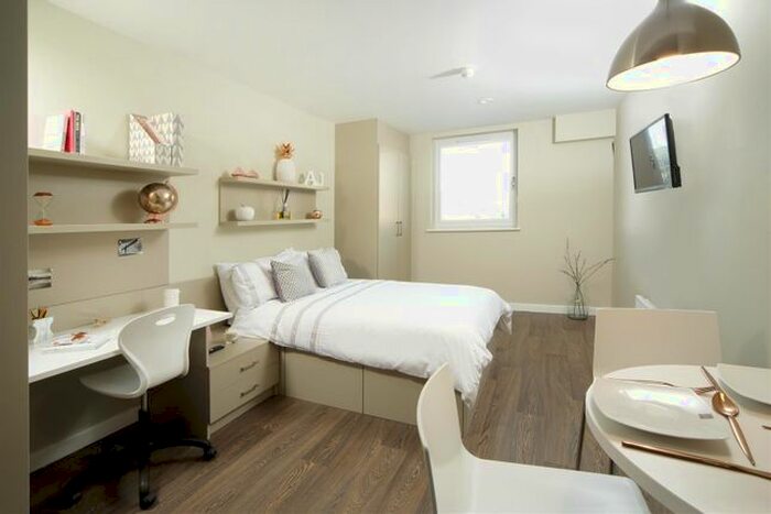 Studio To Rent In Grantham Road, Sandyford, Newcastle Upon Tyne, NE2