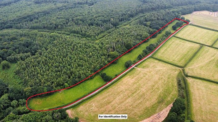 Land For Sale In Valley Road, Narberth, SA67