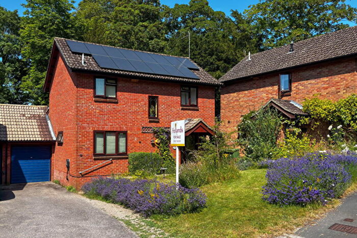 4 Bedroom Detached House For Sale In Beech Road, Alresford, SO24
