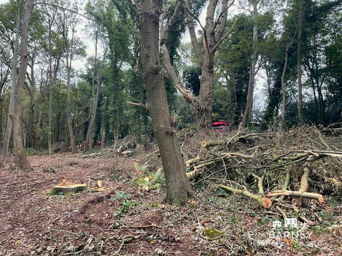 Land For Sale In Puttenham Heath Road, Guildford Surrey GU3