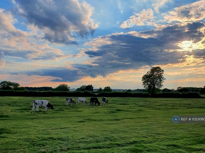 3 Bedroom Bungalow To Rent In The Hides, Alcester, B49