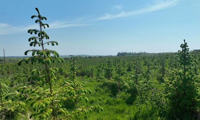 Land For Sale In Chilcarroch & Flow Of Elrig, Port William, DG8