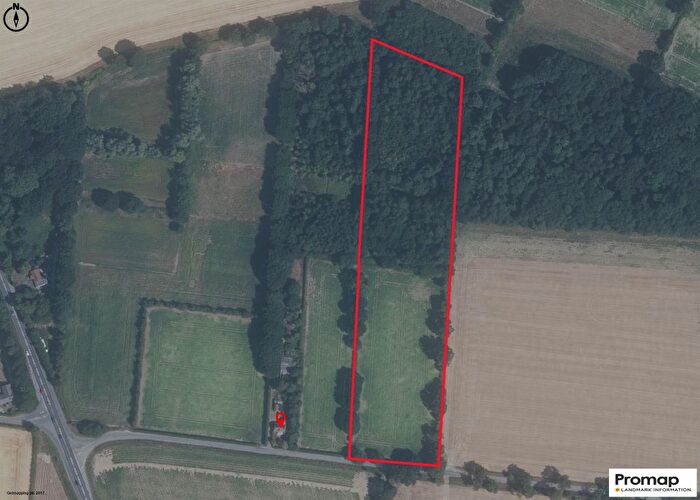 Land For Sale In New Road, Catfield, Great Yarmouth, NR29