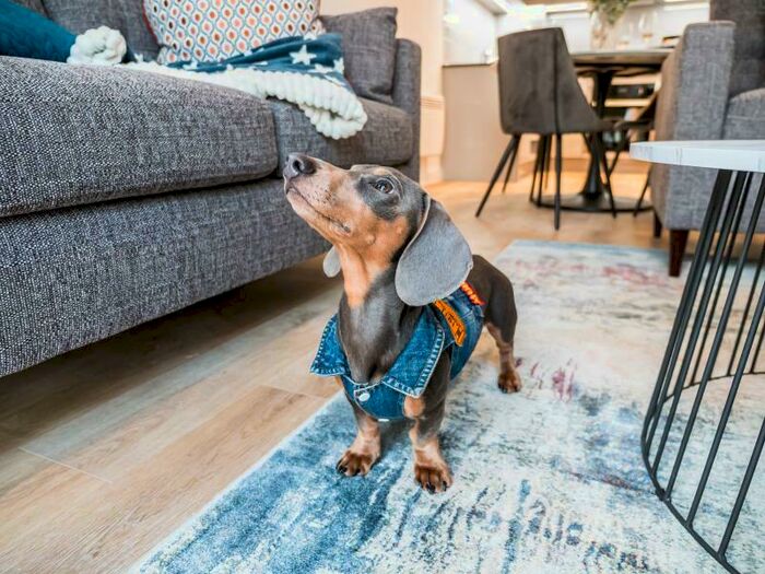 2 Bedroom Apartment To Rent In Flat :: The Quarters, M1