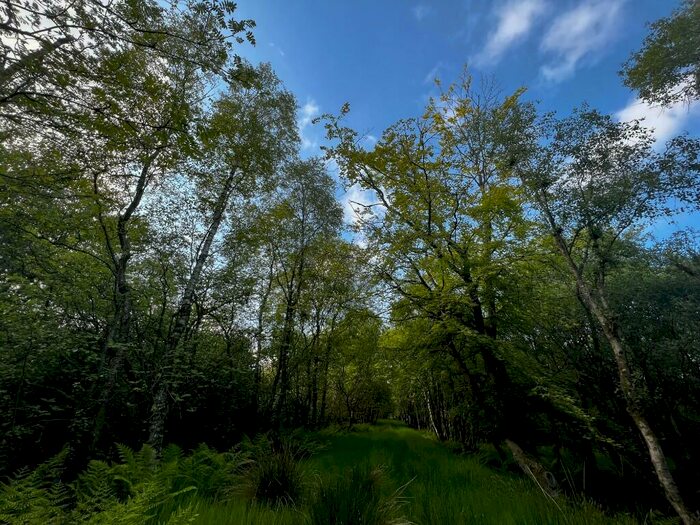 Land For Sale In Amenity Woodland & Land At Moss-side, Parkhill, Dyce, AB21