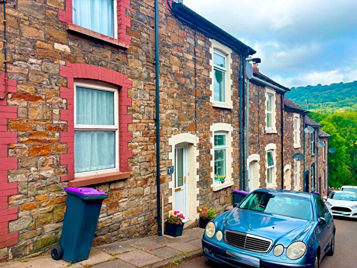 3 Bedroom Terraced House For Sale In Buller Street, Pontnewynydd, Pontypool, NP4