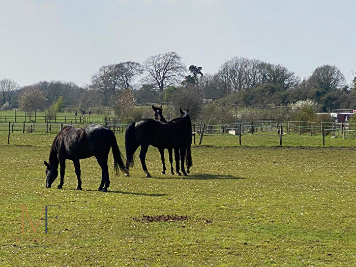Farm Land For Sale In HorseShoe Rise, Round Street, Cobham, Kent, DA13