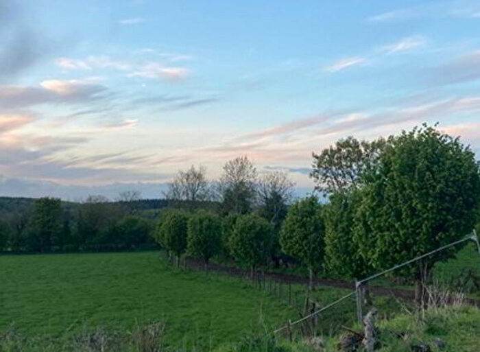 4 Bedroom Bungalows For Sale In A Magheramore Road, Glenullin, BT51