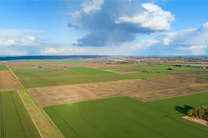 Farm Land For Sale In East, Willow & Tile Farms, PE38