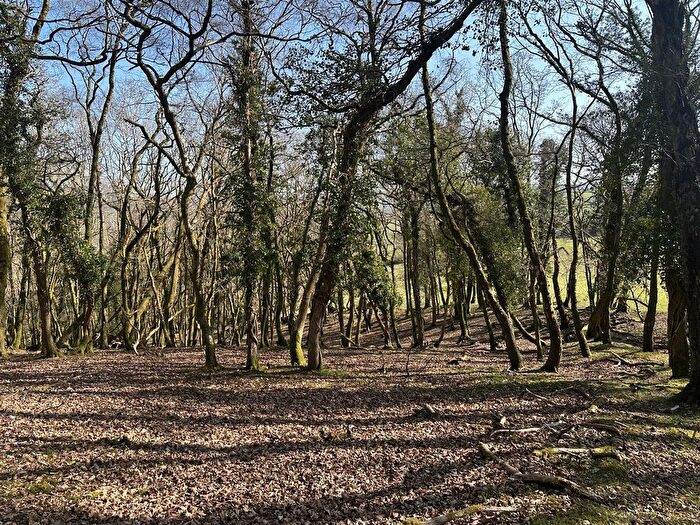Land For Sale In Pencarreg, Llanybydder, SA40