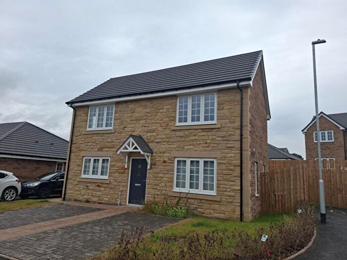 3 Bedroom Detached House To Rent In Auction Way, Bellingham, NE48
