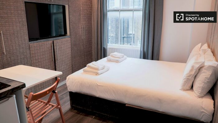 Studio To Rent In Flat, W2
