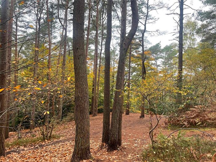 Land For Sale In Upper Bourne Lane, Farnham, Surrey, GU10