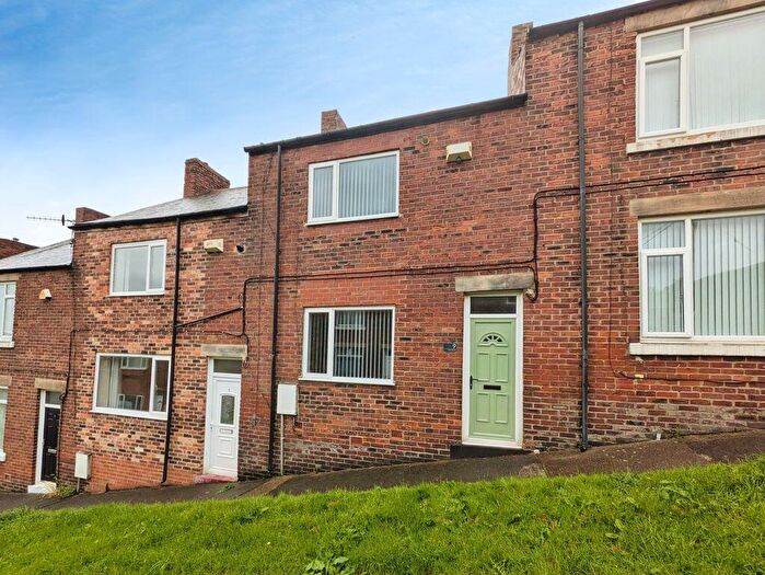 3 Bedroom Terraced House To Rent In Tulip Street, Prudhoe, NE42