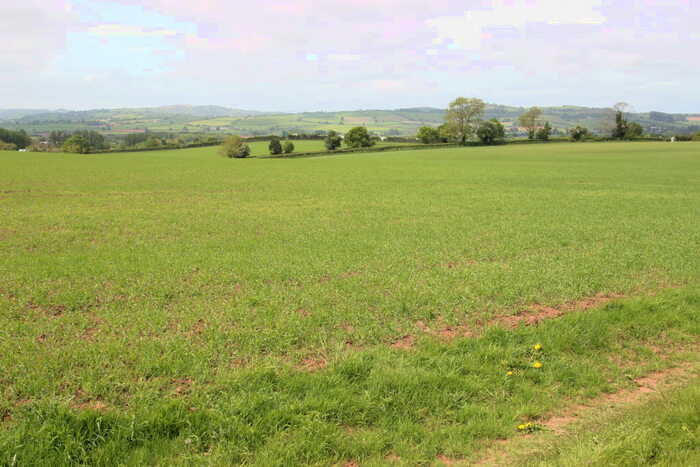 Cottage For Sale In Building Plots Land Adjacent Amarant House Harewood End Hereford, HR2