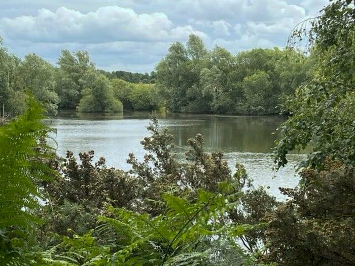 Farm Land For Sale In Lakes, Grassland & Woodland At Longham, NR19