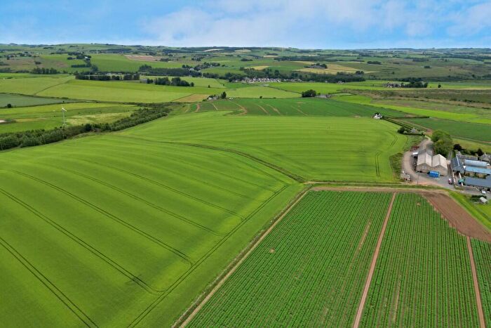 Farm Land For Sale In Land & Buildings At Collynie, Methlick, AB41