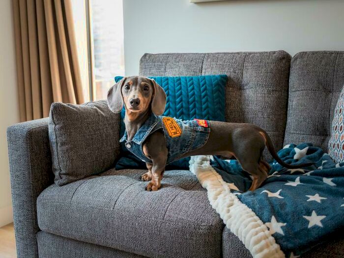 1 Bedroom Apartment To Rent In Flat :: The Quarters, M1