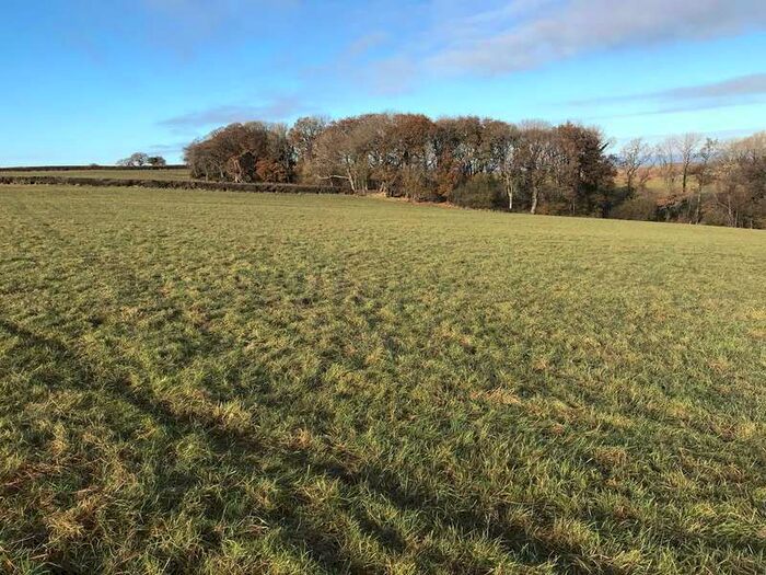 Commercial Land For Sale In Land At Aller, Sampford Courtenay, Okehampton, EX20