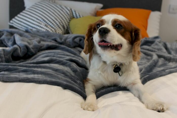 2 Bedroom Flat To Rent In Brick Kiln Two, Lewisham, SE13