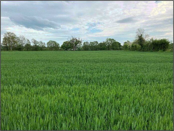 Farm Land For Sale In Monkland, Leominster, Herefordshire, HR6